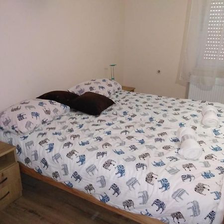 Appartement Evelin Sobe à Backa Topola Extérieur photo